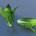 Fresh Green Cabbage Leaves With White Veins Arranged In Radial Pattern 3d model