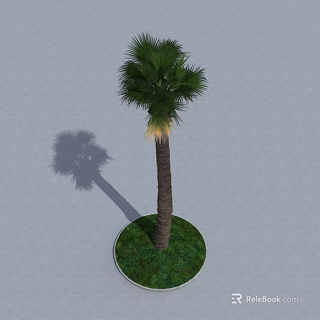 Palm Tree With Slender Trunk Green Fronds On Circular Grass Base And Gray Ground Shadow 3d model 