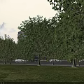 Modern Hospital Building With Green Roof And Lush Surrounding Trees