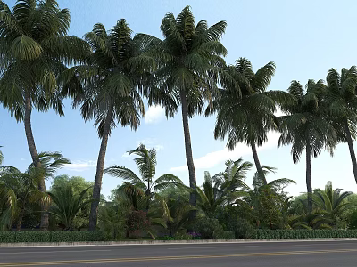 Tall Palm Trees Lining Roadside Under Clear Blue Sky With Green Foliage 3d model
