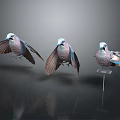 Three Colorful Birds with Blue Pink Feathers Wings Spread on Grey Gradient Background and Reflections