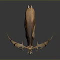 Majestic Brown And White Deer With Large Antlers Standing On Dark Background