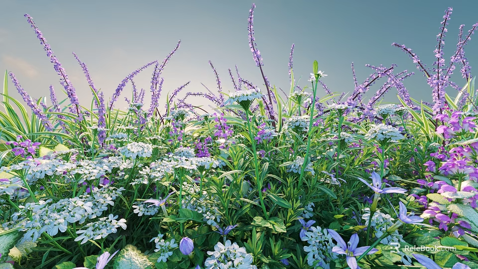 Vibrant Purple and White Flowers Blooming in Lush Garden Under Blue Sky 3d model 