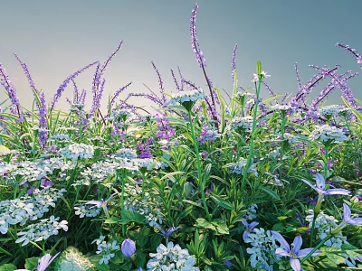Vibrant Purple and White Flowers Blooming in Lush Garden Under Blue Sky 3d model