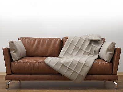 modern double sofa model