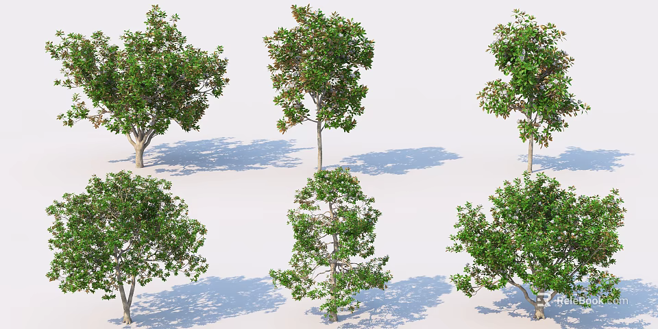 Multiple Arbor Trees with Green Foliage Trunks and Shadows on White Background 3d model 
