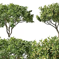Weatherproof Outdoor Storage Lockers Surrounded by Green Trees and Bushes