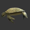 Realistic Sea Turtle Sculpture With Detailed Shell Patterns And Natural Coloration 3d model
