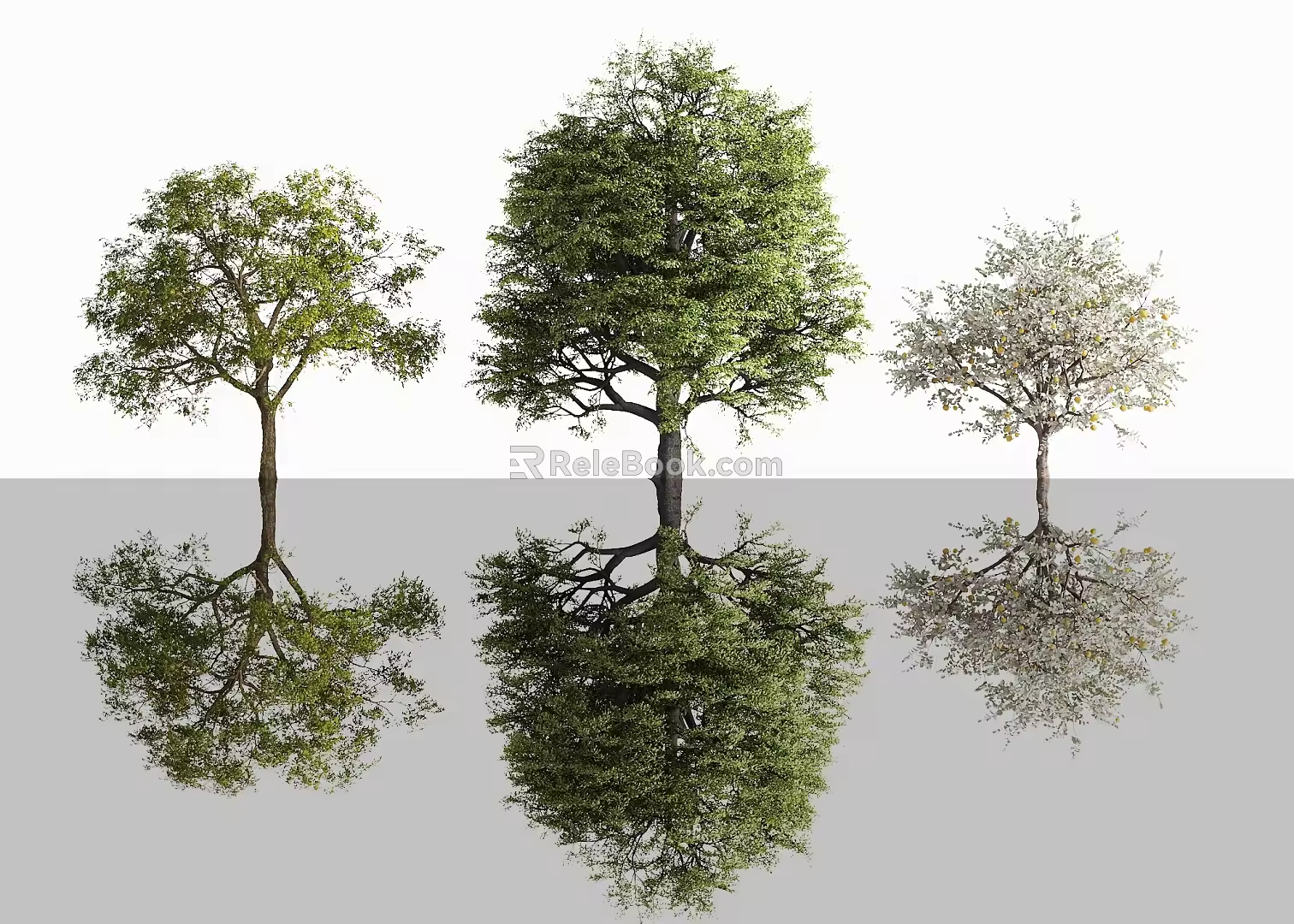Modern Tree Lemon Tree Fruit Tree Landscape Tree Flower Garden Tree 3d model