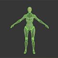 Female Form Robot Character With Mechanical Structure And Silver Gray Standing Pose 3d model