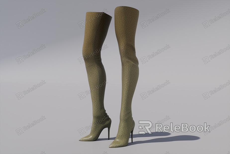 high-heeled boots model