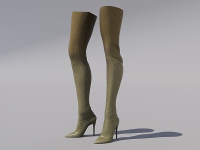 high-heeled boots model