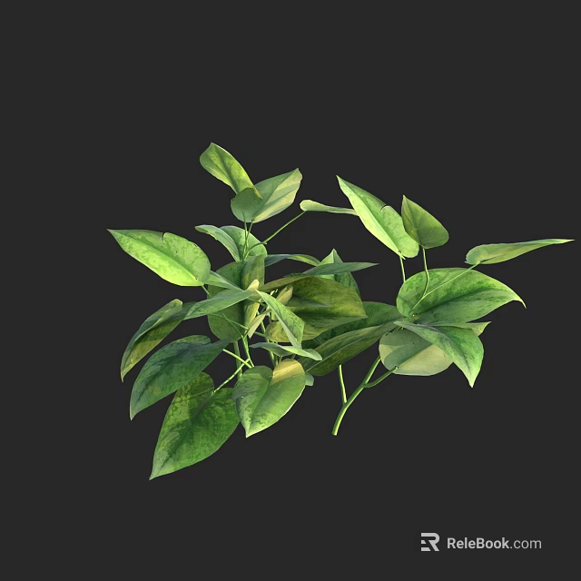 Lush Green Plant Leaves With Vibrant Foliage On Dark Background 3d model 