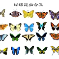Modern Butterfly 3d model