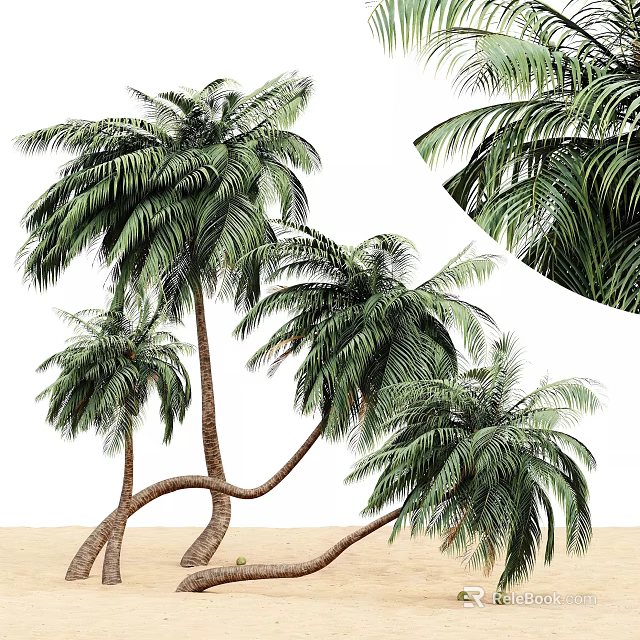 Tropical Palm Trees With Curved Trunks And Lush Green Fronds On Sandy Ground 3d model 