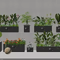 Indoor Decorative Plant Combinations With Various Green Plants Colorful Flowers And Modern Planters