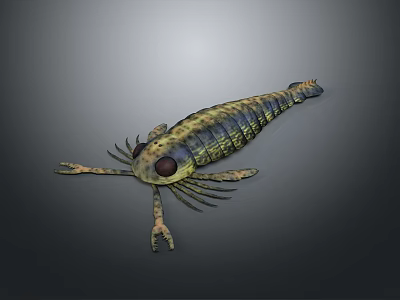 Detailed Shrimp Shaped Decorative Figurine With Colorful Design For Home Decoration 3d model