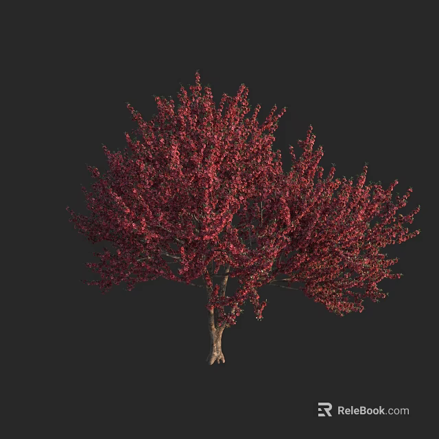 Isolated Arbor with Vibrant Red Foliage Against Dark Background Scene 3d model
