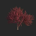 Isolated Arbor with Vibrant Red Foliage Against Dark Background Scene 3d model