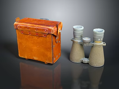 Scenic Natural Landscape View Through Vintage Brass Binoculars And Brown Leather Case 3d model