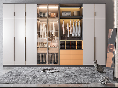 Modern Wardrobe Decorative Cabinet 3d model