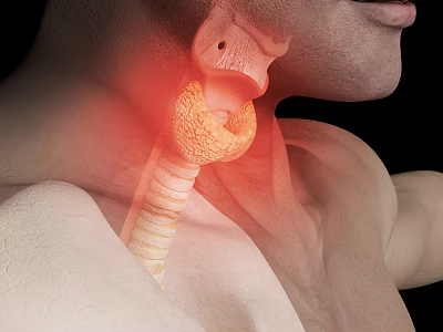 Advanced Medical Device for Throat Laryngeal Structure Examination and Visualization 3d model
