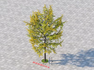 Ginkgo Tree With Yellow Leaves Standing On Paved Ground With People Nearby 3d model