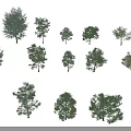 Arbor Trees With Various Types Different Sizes And Green Foliage For Landscape Design 3d model