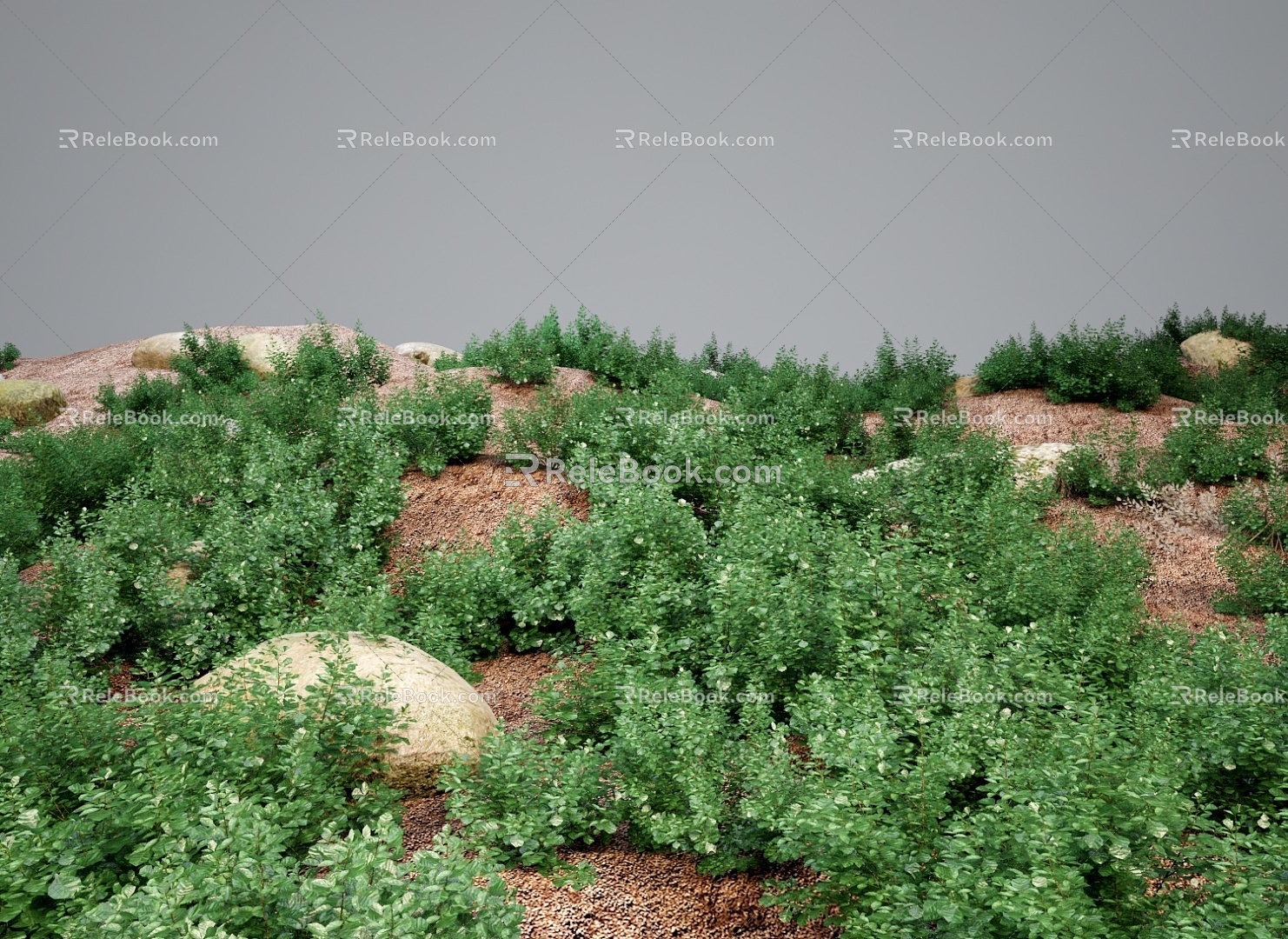 Modern Grassland Shrubs Grass Green Plant Shrubs 3d model