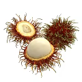 Fresh Rambutan Fruits with Hairy Red Skin Cut Open Reveal White Flesh and Whole Pieces