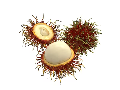 Fresh Rambutan Fruits with Hairy Red Skin Cut Open Reveal White Flesh and Whole Pieces 3d model