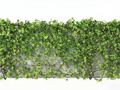 Green Artificial Vines with Lush Leaves for Wall Decoration and Home Decor 3d model