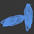 Closeup View Of Two Snail Reptiles With Textured Shells And Soft Bodies On Dark Background