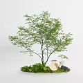 Lush Green Arbor With Dense Foliage And Moss Covered Ground Round Stone Small Plants