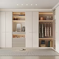 Modern Walk in Closet Interior Design With Built in Wardrobes Hanging Rods And Mirror
