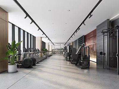 Modern Spacious Fitness Gym With Complete Workout Equipment Floor to Ceiling Windows And Green Plants 3d model