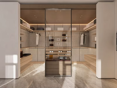 Modern Walk in Closet Interior With Glass Door And Storage 3d model