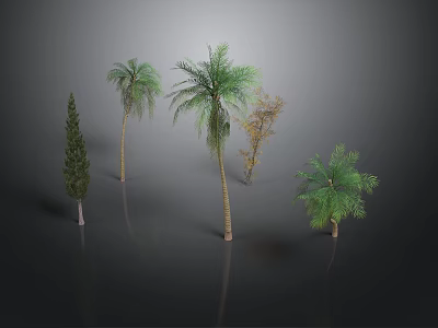 Various Types of Decorative Plants Including Palm Trees and Pine with Green Leaves 3d model