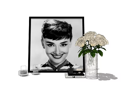 Modern ornaments combination 3d model