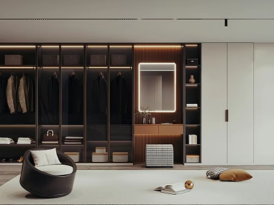 Modern Walk In Closet Interior With Hanging Clothes Illuminated Mirror And Storage Cabinets 3d model