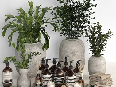 Stylish Washing And Daily Essentials Display With Green Plants Ceramic Vases And Linen Towels 3d model