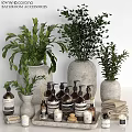 Stylish Washing And Daily Essentials Display With Green Plants Ceramic Vases And Linen Towels