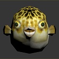 Puffer Dolphin Cartoon Puffer Dolphin Cartoon Puffer Sashimi Puffer Fish Freshwater Fish Puffer Fish 3d model