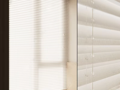 White Window Blinds For Modern Interior With Natural Light Filtering 3d model