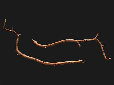 Natural Wood Branches With Brown Texture On Black Background For Decorative Use 3d model