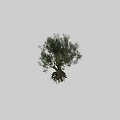 Lifelike Olive Tree Decorative Ornament For Home Interior Decoration