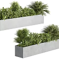 Rectangular Concrete Planters With Mixed Green Potted Plants For Indoor Outdoor Decoration 3d model