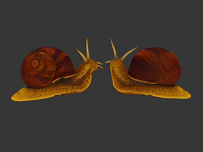 Two Reptiles With Brown Shells And Yellow Bodies Facing Each Other On Gray Background 3d model