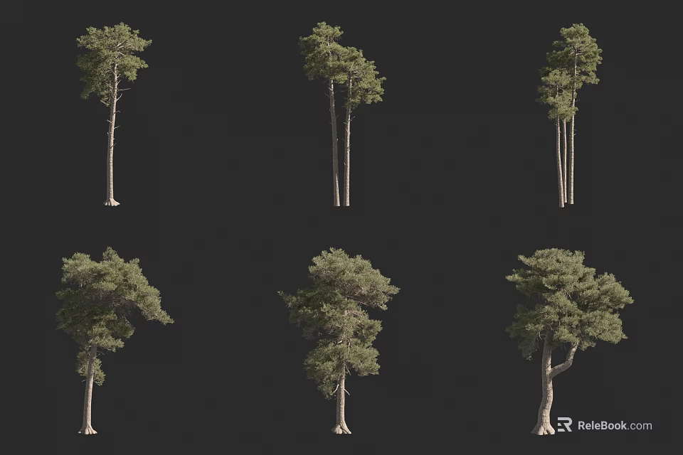 Different Types Of Arbor Trees Showcasing Diverse Natural Growth Shapes And Forms 3d model 