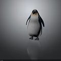 Realistic 3D Penguin Model With Standing Pose Black White Blue Feathers And Orange Eyes